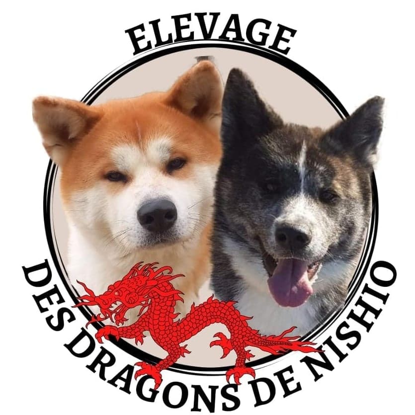 Les Dragons de Nishio